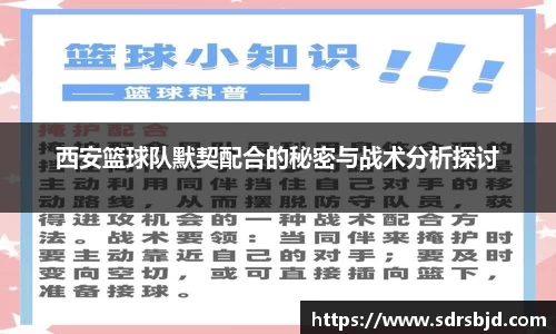西安篮球队默契配合的秘密与战术分析探讨