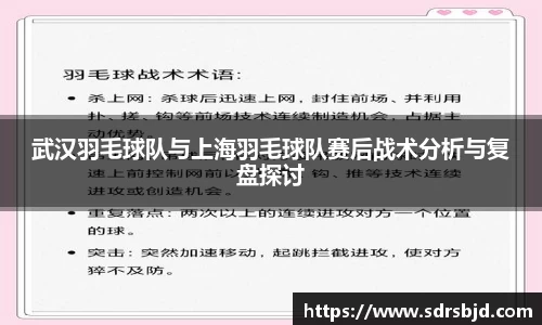 武汉羽毛球队与上海羽毛球队赛后战术分析与复盘探讨